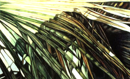 palm leaves II